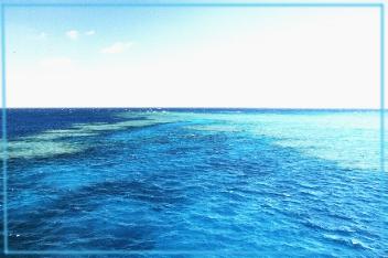 Reef