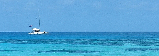 mango_banner
